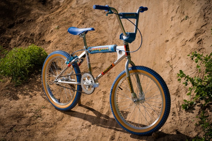 mongoose excursion mountain bike